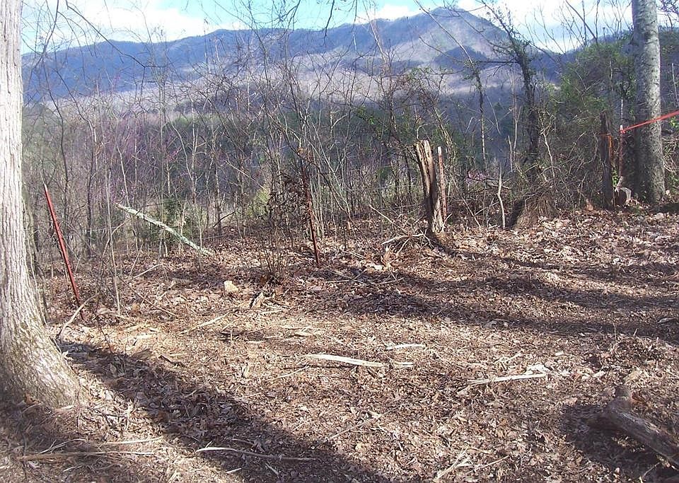 1st image of 79 Muscadine Ct Lot 79