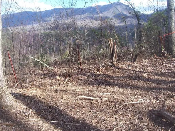 79 Muscadine Ct Lot 79, Sevierville, TN 37876