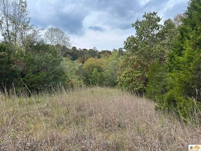 8923 Greensburg Rd, Edmonton, KY, 42129