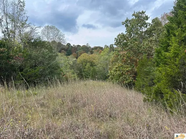 8923 Greensburg Rd, Edmonton, KY 42129