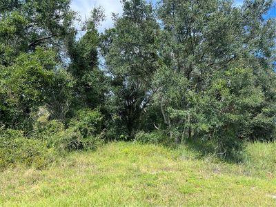 5425 NW Oak Hill Ave, Arcadia, FL, 34266