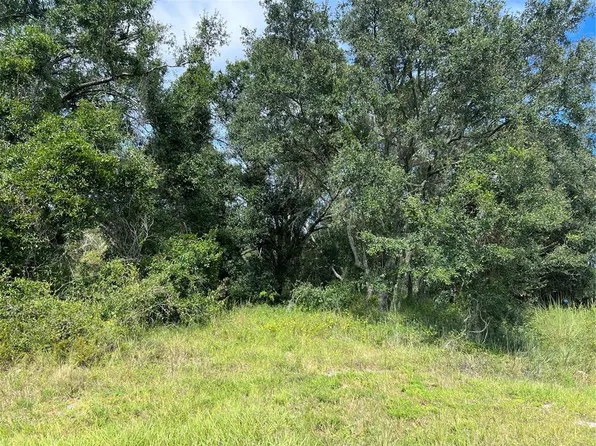 5425 NW Oak Hill Ave, Arcadia, FL 34266