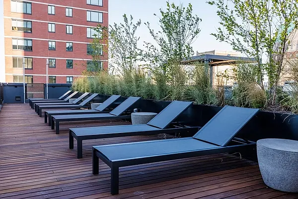 Rented by MNS | media 53