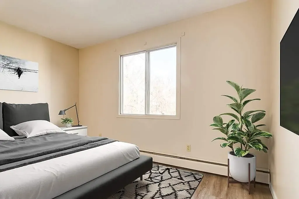 Mount Rose Apartments — Photo 3