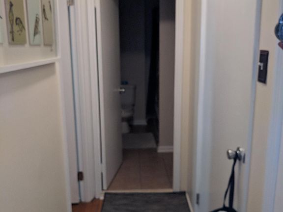 4th image of 1101 Saint Paul St Floor 4