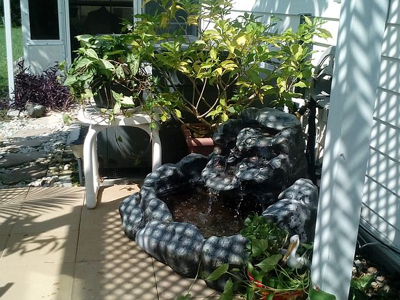 Waterfall & greenhouse.