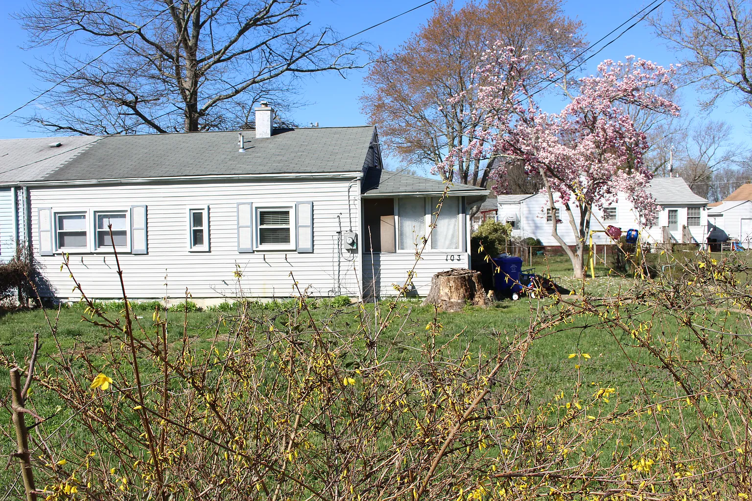103 Cedar Ln photo 1