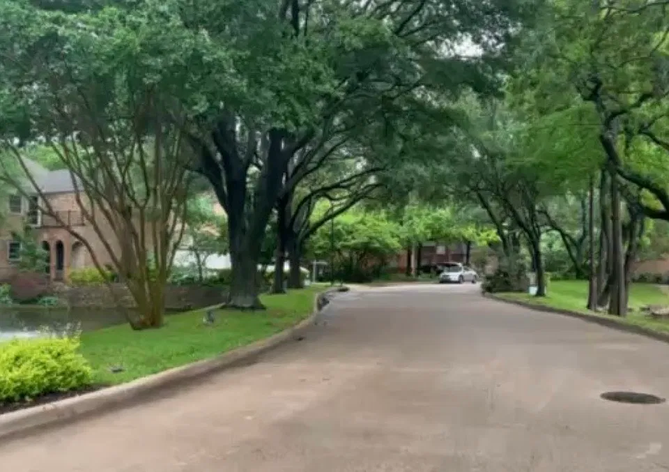 Forest Lakes Ln