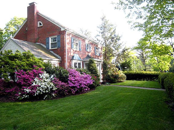 Springtime blooming around t