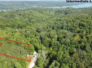 8608 Sisson Rd LOT 2, Bellaire, MI 49615