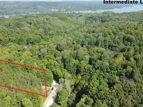 8608 Sisson Rd Lot 2, Bellaire, MI 49615