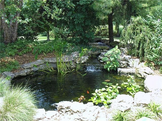 Koi Pond