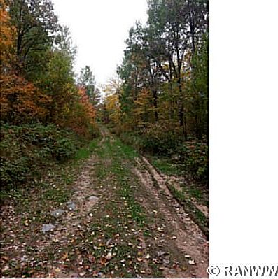 4th image of Lot 0 Hwy M