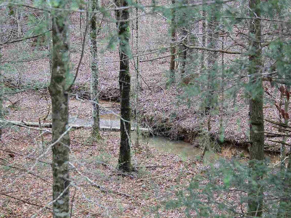 1st image of 424 S Clear Fork Rd Lot 4B-2&3