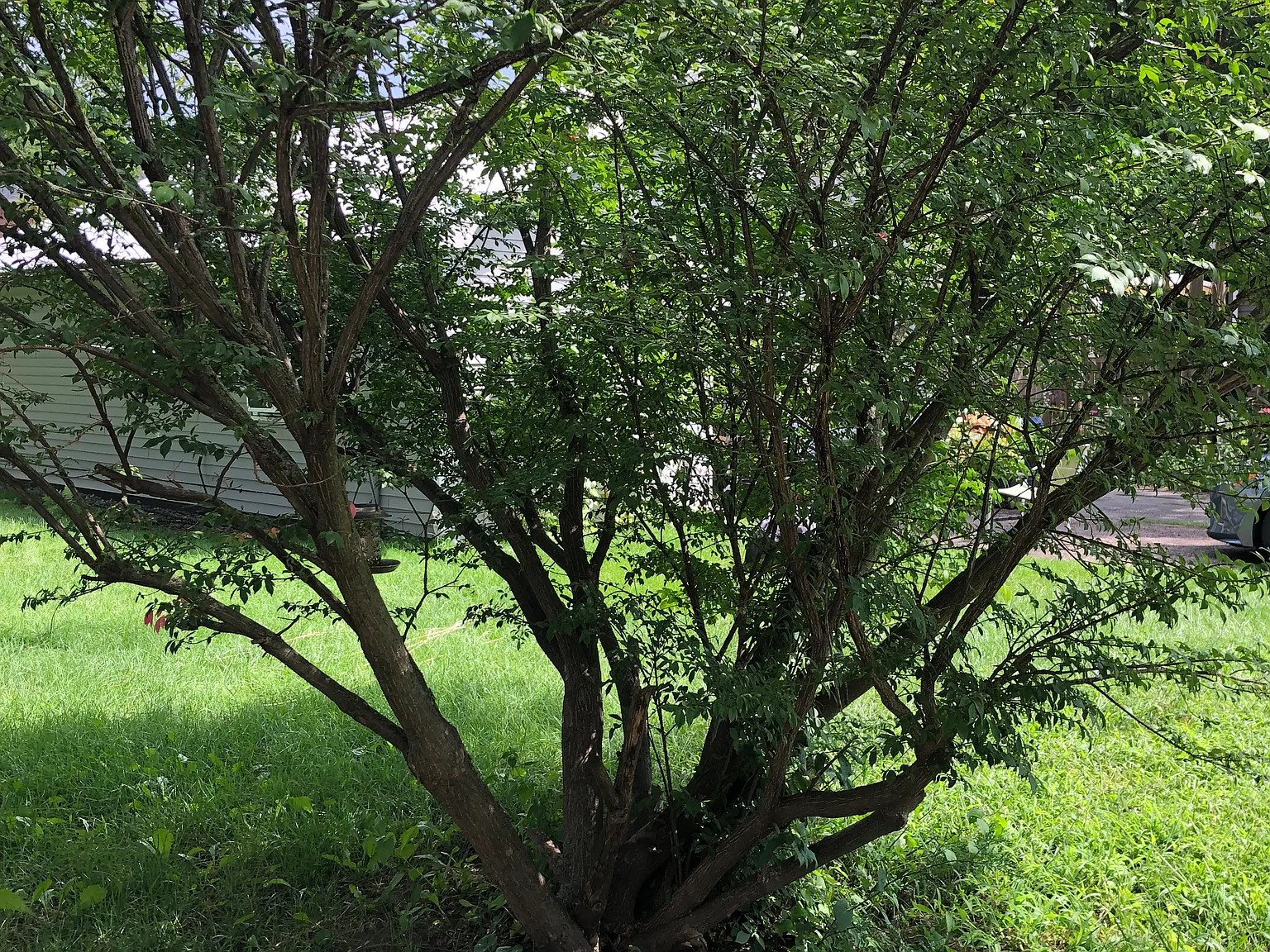 Bass Ln, Essex Junction — Photo 4