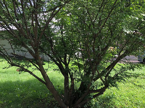 4th image of (Undisclosed Address)