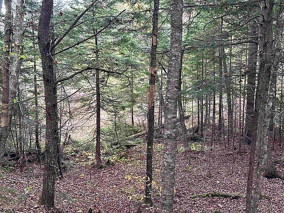 4th image of 0 Hardy Hill Road