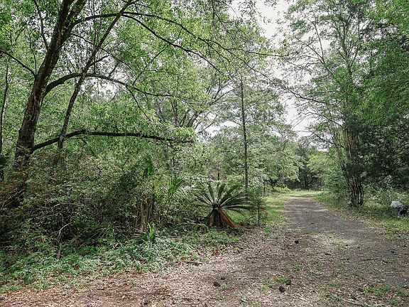 2nd image of 475 PRINGLE (CLAY COUNTY) Road