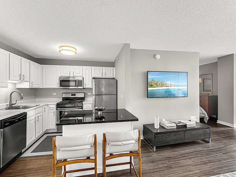 545 N Dearborn St #3006 — Photo 5