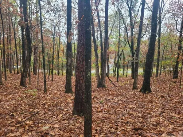 65 Pine Hill Est, Higden, AR 72067