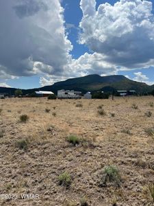 LOT 129 N County Road 2004, Nutrioso, AZ, 85932