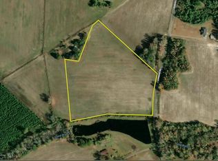 Loggers Rd LOT WP007, Hemingway, SC 29554