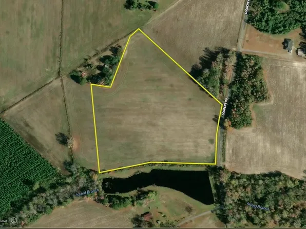 Loggers Rd Lot Wp007, Hemingway, SC 29554