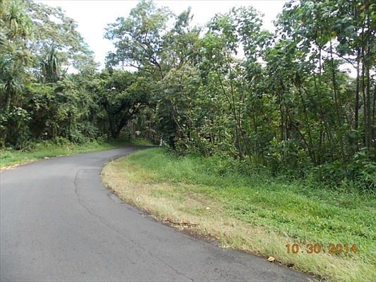 2nd image of Pohoiki Kalapana Rd