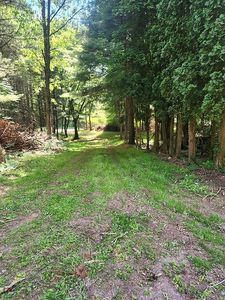 3663 S M 43 Hwy, Hastings, MI, 49058