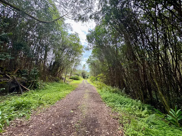 Molokai St Lot 147, Pahoa, HI 96778