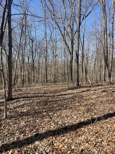 165 Pleasant Hill Rd, Lafayette, TN, 37083