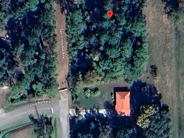 136 SAN CRISTOBAL Avenue, East Palatka, FL 32131