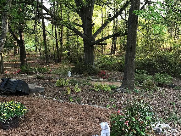 5th image of 115 Camelot Ct
