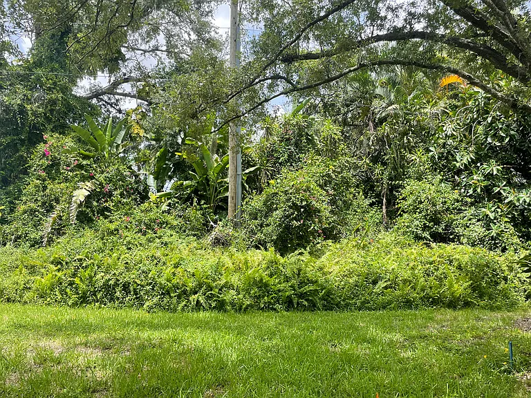 243 Southampton Ln #273 — Photo 38