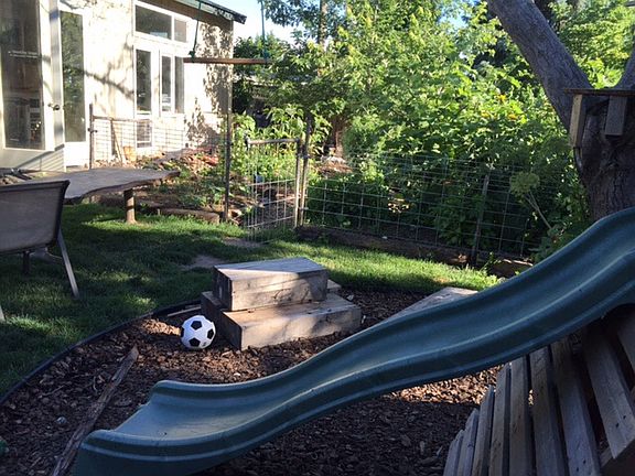 Back yard 
