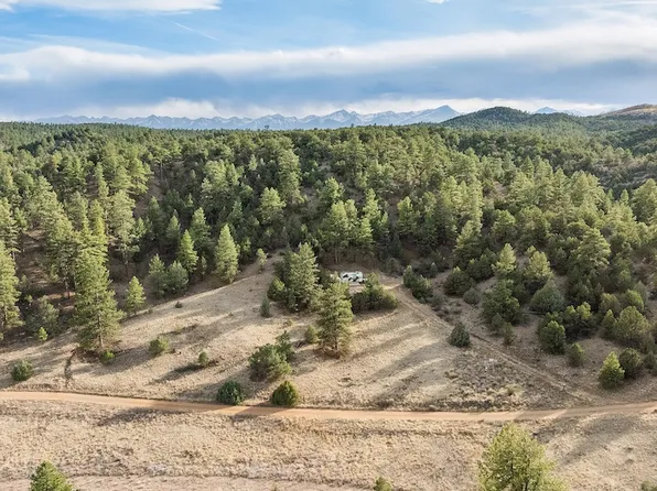 40 Alex Cv, Cotopaxi, CO 81223