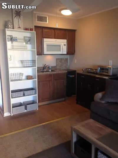1 bed, 420 sqft, $1,295 — Photo 3