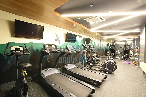 Rented by null | media 51