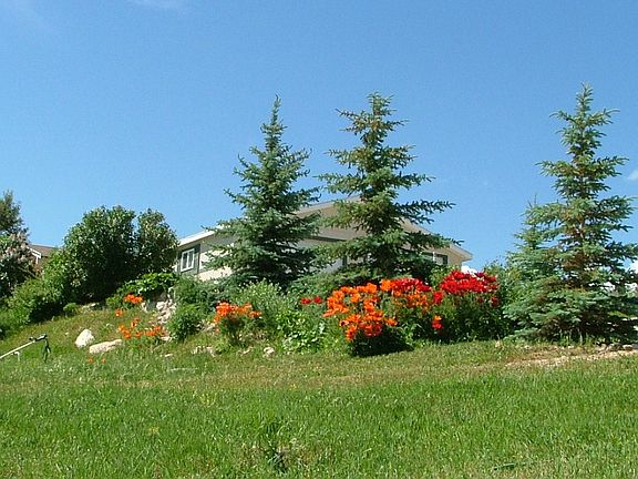 Looking South from road