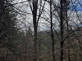 Tbd Cold Springs Rd, Raphine, VA 24472