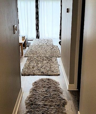 Main hallway 