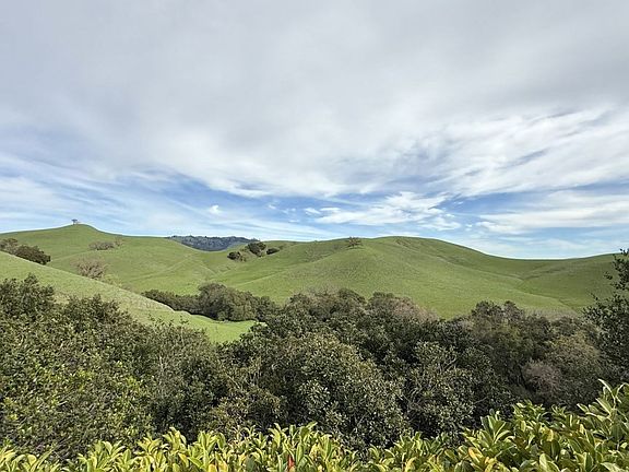 4th image of 4466 Deer Ridge Rd