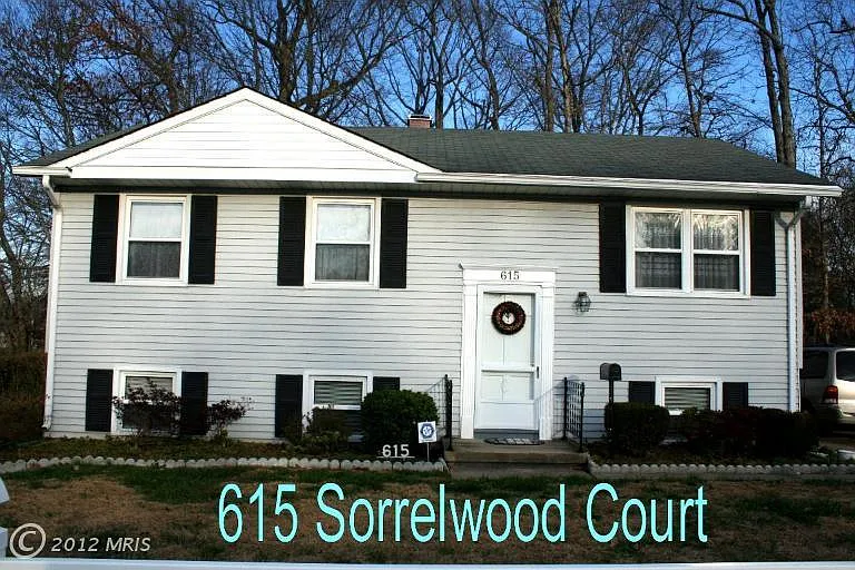 615 Sorrelwood Ct photo 1