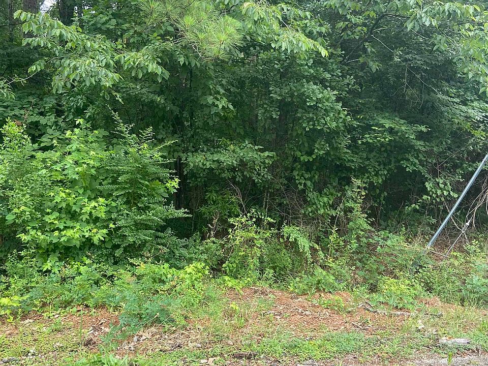 2nd image of LOT 6 Browning Cir