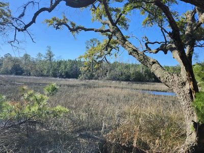 3675 Chisolm Rd, Johns Island, SC, 29455