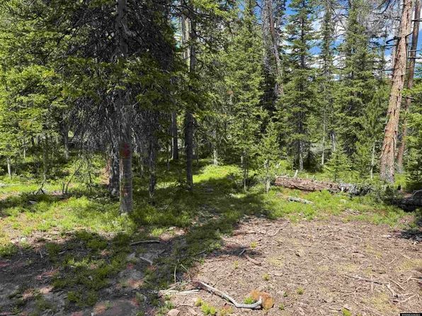 TRACT 27 Overlook Retreat, Elk Mountain, WY 82324