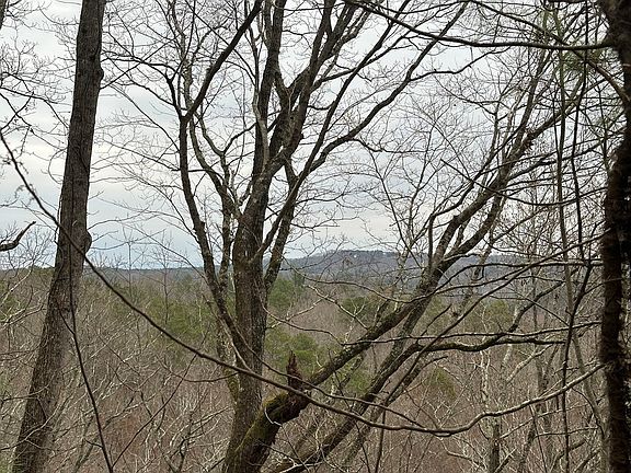 4th image of 306 Oberlin Ct