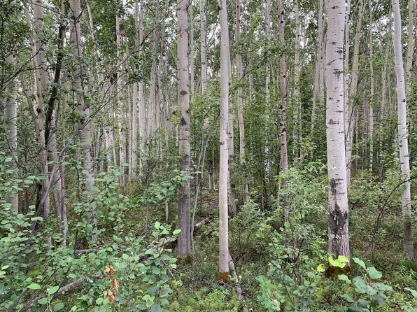 Nhn Mile 276.5 Parks Hwy, Healy, AK 99745
