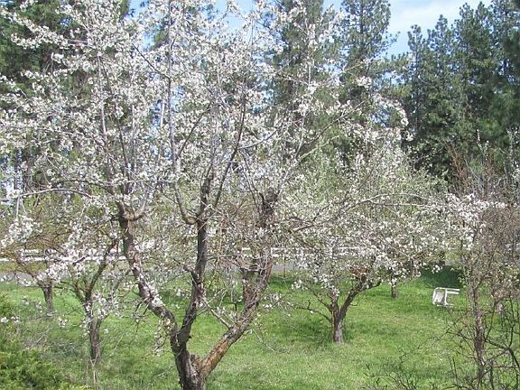 from front door east