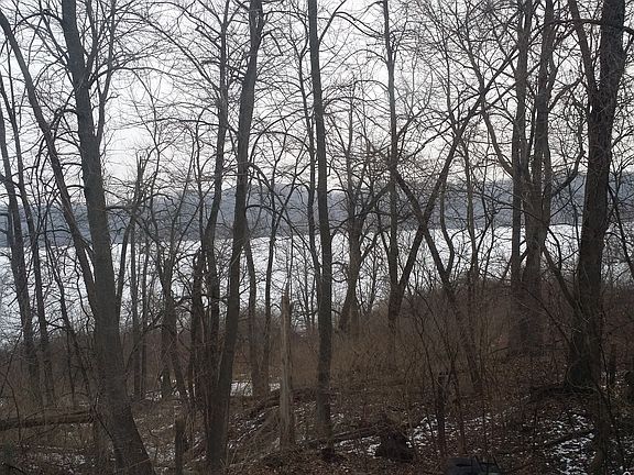 View from Deck